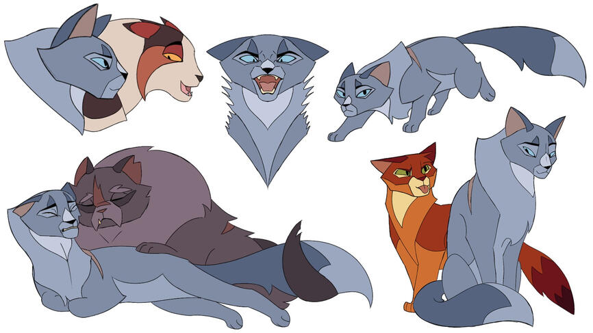 Bluestar Bluestar